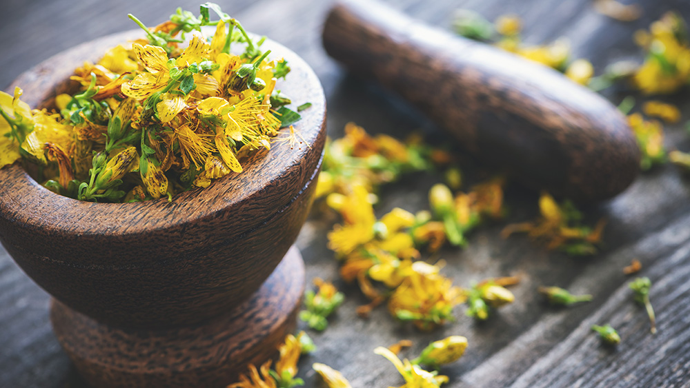 Heilpflanze – das Johanniskraut