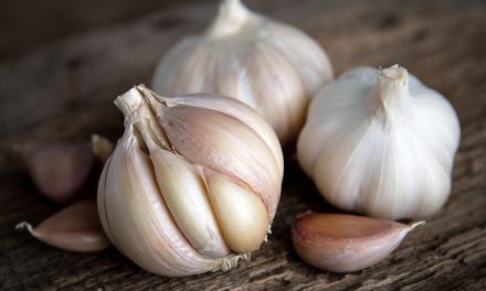 Heilpflanze – der Knoblauch