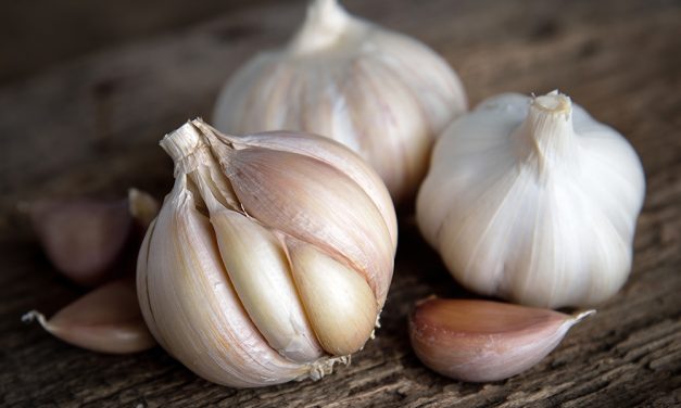 Heilpflanze – der Knoblauch