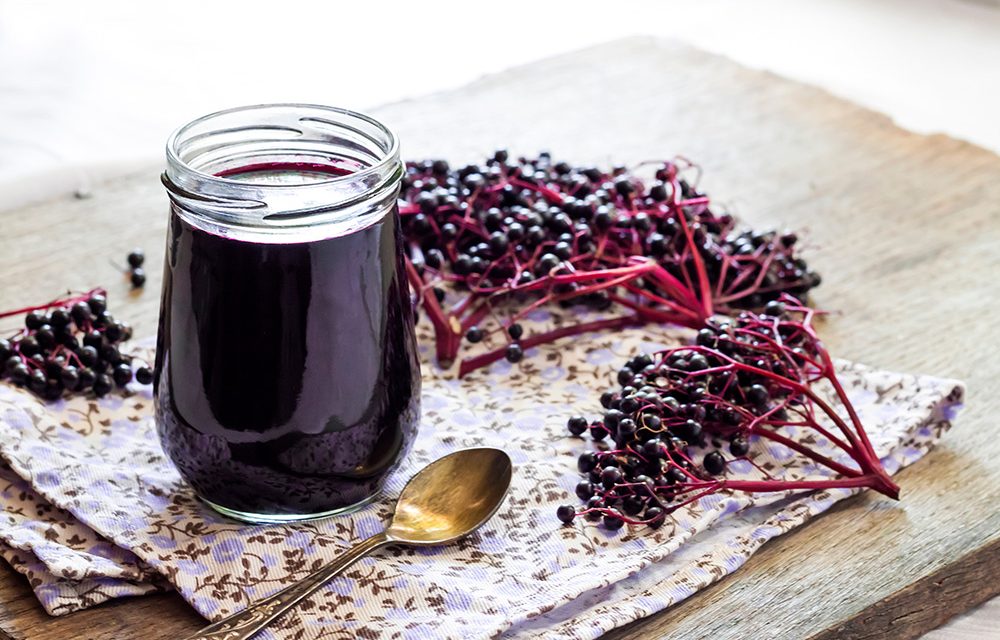 Heilpflanze – der Schwarzer Holunder