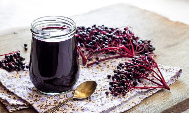 Heilpflanze – der Schwarzer Holunder