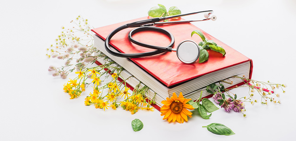 Naturheilkunde: Heilpflanzen-Lexikon von A bis Z