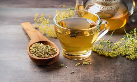 Heilpflanze – der Fenchel