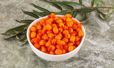 Heilpflanze – der Sanddorn