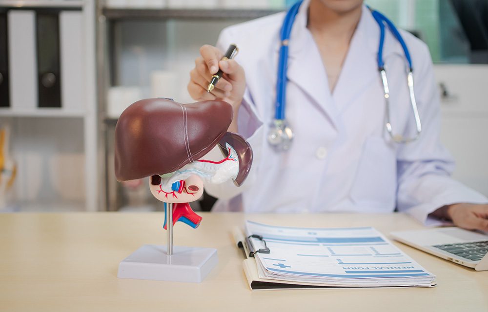 Leberzirrhose – wenn die Leber nicht mehr möchte