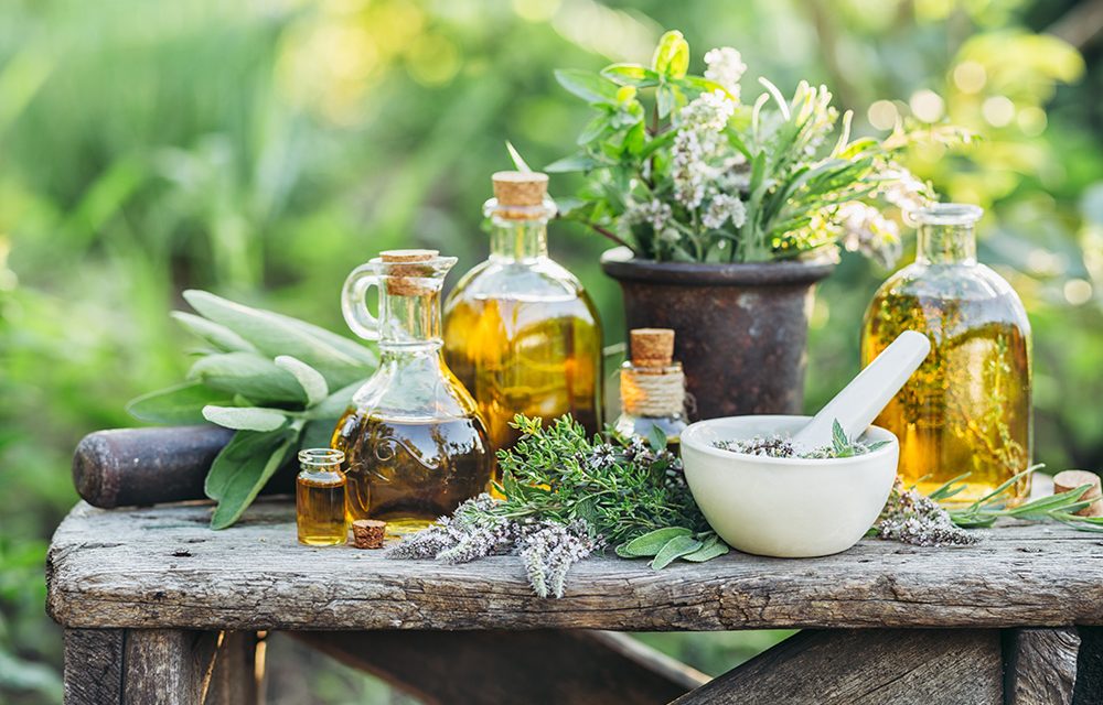 Wunder der Natur in der heutigen Medizin