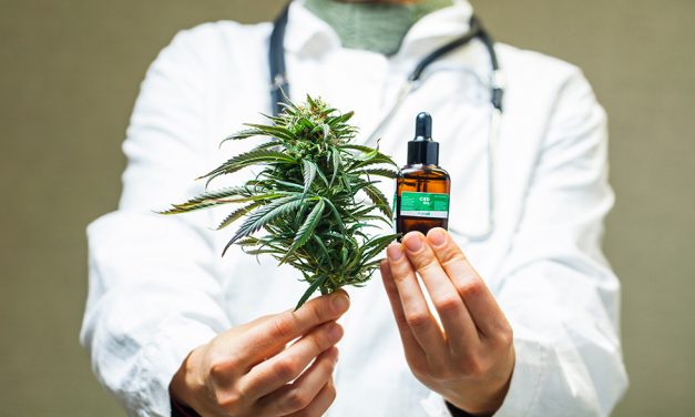 Wie Cannabis zu therapeutischen Zwecken genutzt werden kann