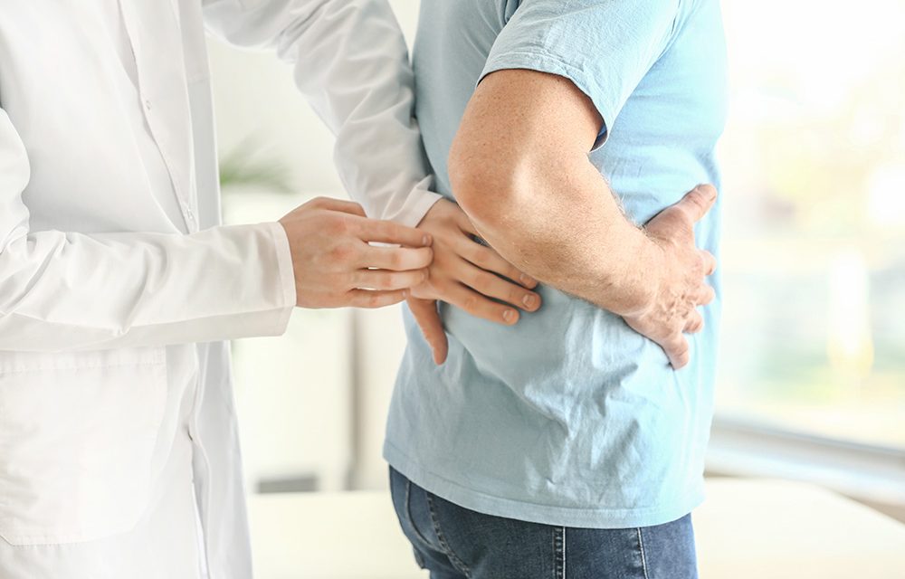 Niere – Ein lebenswichtiges Organ