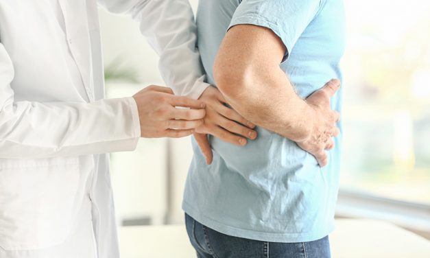 Niere – Ein lebenswichtiges Organ