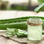 Heilpflanze – die Aloe Vera