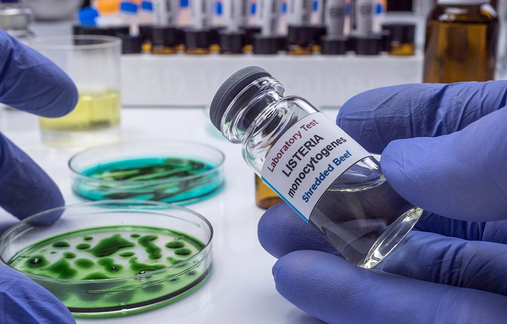 Listerien: Weit verbreitet und in manchen Fällen lebensgefährlich