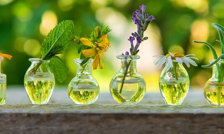 Warum unzählige Pflanzenarten Heilkräfte besitzen