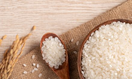 Reis: Das weiße Wunderkorn