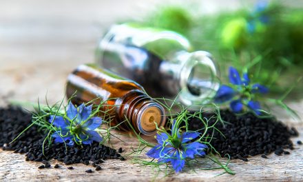 Heilpflanze – der Schwarzkümmel