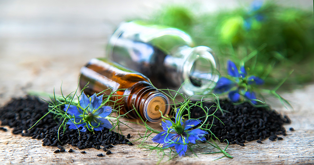 Heilpflanze – der Schwarzkümmel