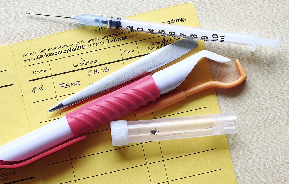 FSME: Vor allem im Süden Deutschlands Gefahr durch Zeckenbisse