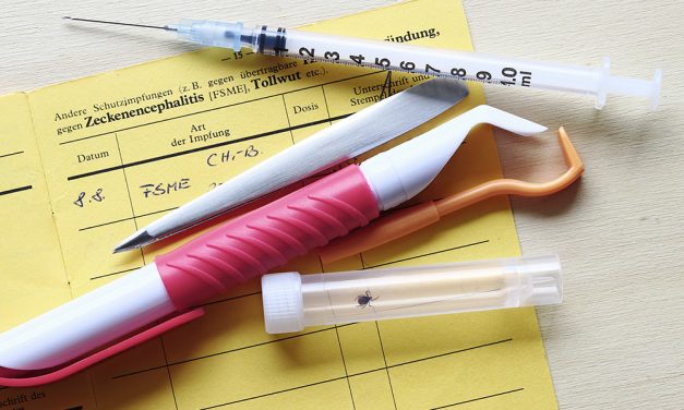 FSME: Vor allem im Süden Deutschlands Gefahr durch Zeckenbisse