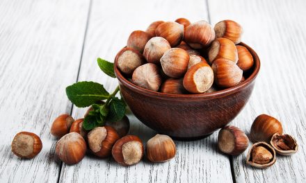 Haselnuss – Kalzium, Phosphor, Eisen und Kalium sowie reichlich B-Vitamine und Vitamin E