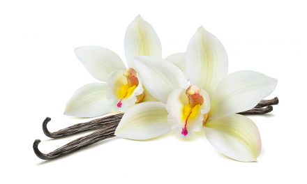 Vanille und Vanillin – der kleine Unterschied