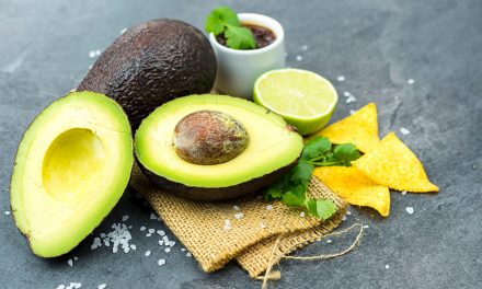Avocado – die gesunde Kalorienbombe