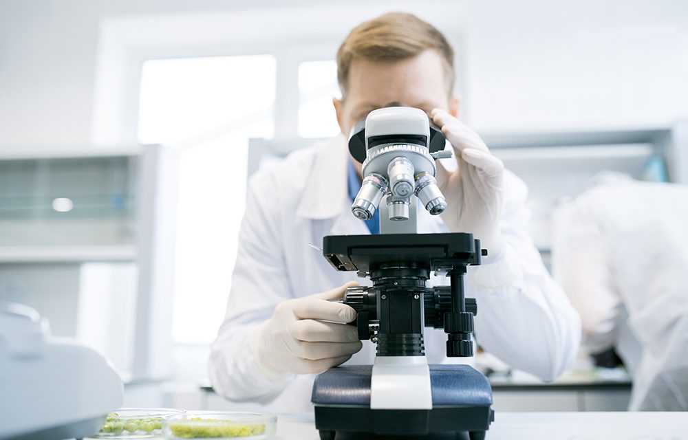 Ernährungsstudien oft widersprüchlich