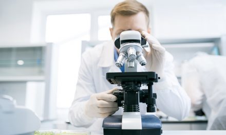 Ernährungsstudien oft widersprüchlich