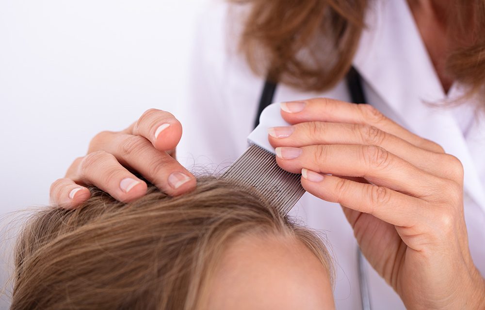 Wie man Läuse effektiv bekämpft