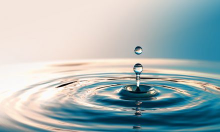 Wasser das kostbare Nass – Die besten Mineralwässer Deutschlands