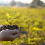 Biodiversität & Gesundheit: ein starkes Team!