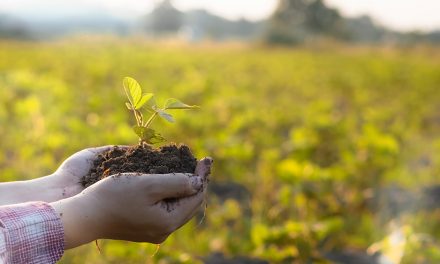 Biodiversität & Gesundheit: ein starkes Team!