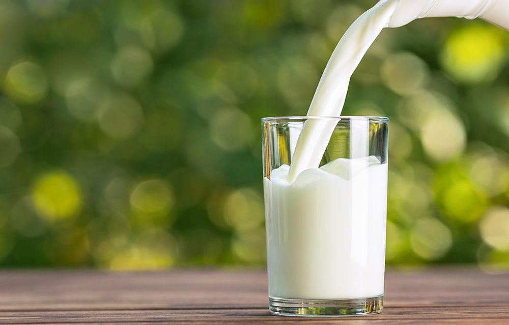 Milchsorten – Unterschiede und Vorzüge