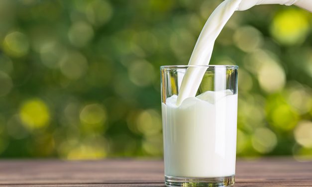 Milchsorten – Unterschiede und Vorzüge