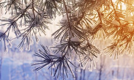 Gut geschützt in die Wintersonne – Vor UV Strahlung schützen!