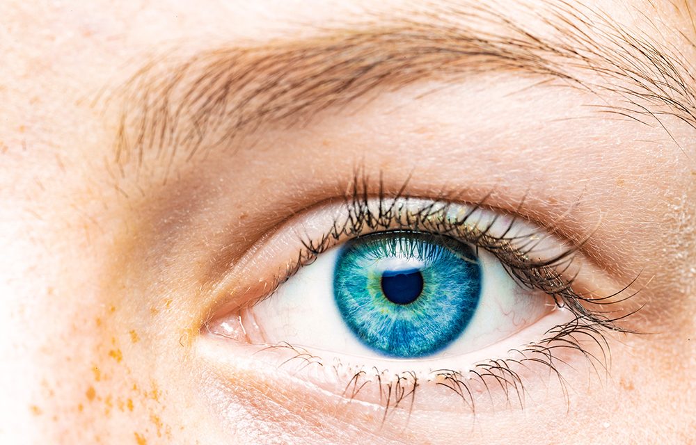 Wenn das Auge die eigene Optik trübt!