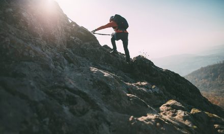 Das lebenswichtige Spurenelement Selen