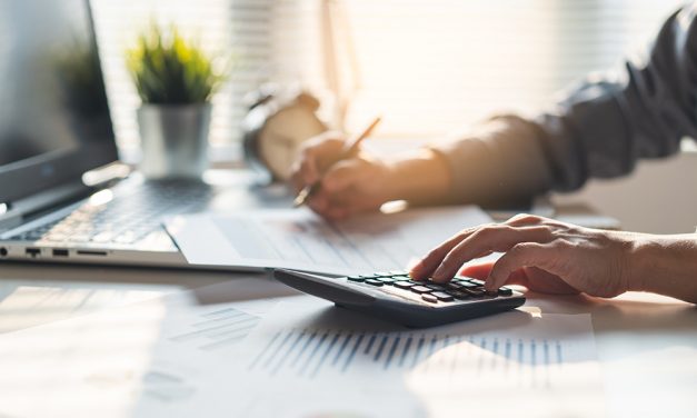 Psst: Steuer-Sparfüchse aufgepasst – Kosten für die Heimtierbetreuung sind absetzbar