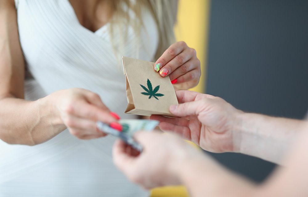 Cannabis-Apotheke im Kontext moderner Versorgung