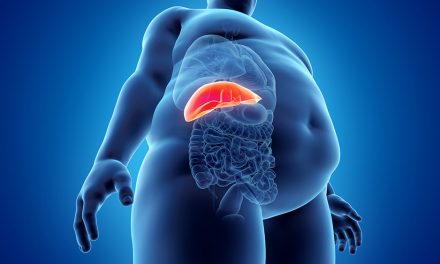 Volkskrankheit Fettleber