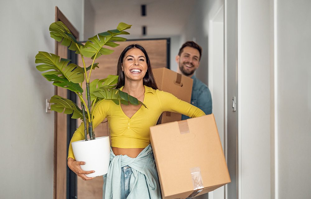 Wenn das neue Zuhause gesund macht: Modernes Bauen unter Beachtung der Baubiologie