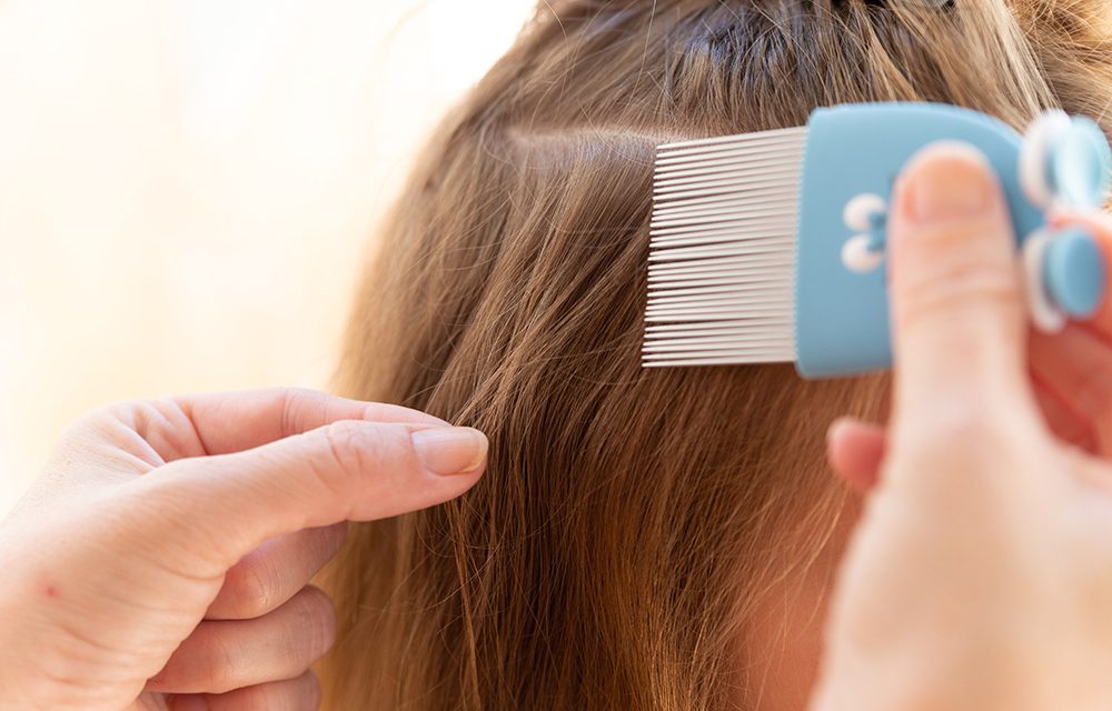 Läuse – Parasitenalarm im Kindergarten