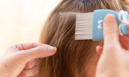 Läuse – Parasitenalarm im Kindergarten