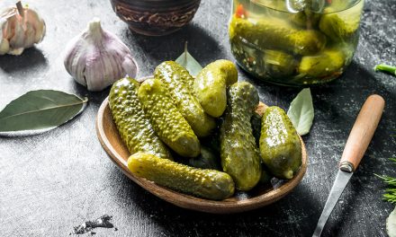 Salzgurken, Sauerkraut und Co. für die kalte Jahreszeit