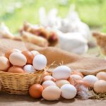 Das gesunde Hühnerei, Cholesterinbombe oder nicht? Eine späte Rehabilitation