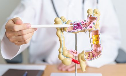 5 Prinzipien für einen gesunden Darm