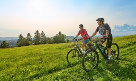 Richtig Radfahren – die besten Tipps rund ums Fahrrad