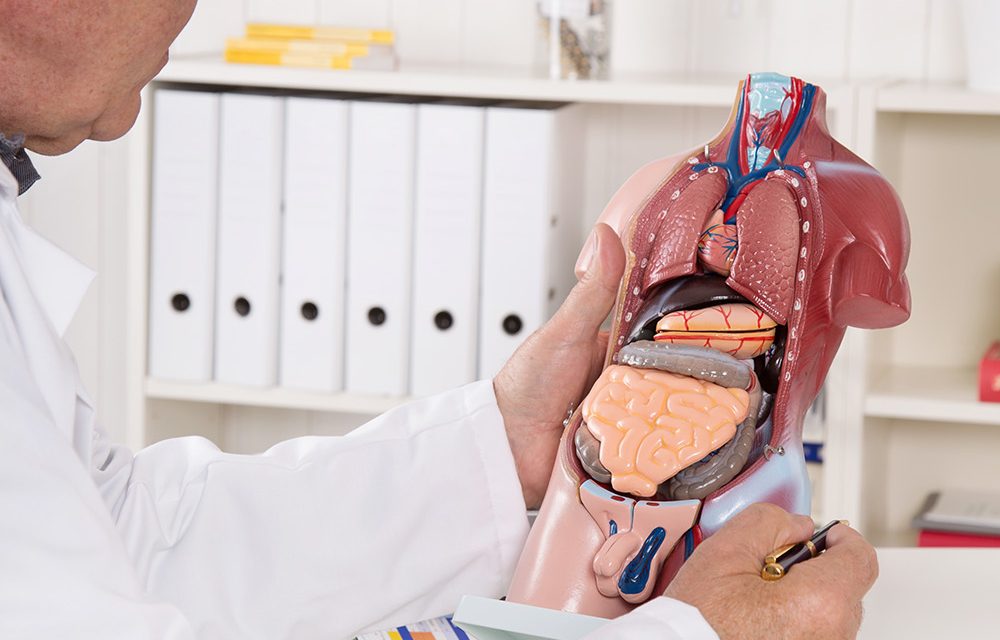 Sorge vor der Darmkrebsvorsorge – Warum sie dennoch sinnvoll ist