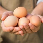 Eier – Kleine Kraftpakete