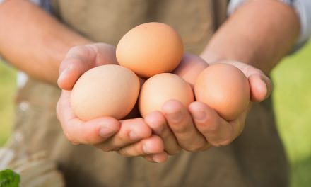 Eier – Kleine Kraftpakete