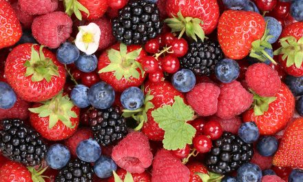 Beeren – bärenstark für die Gesundheit