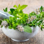 Mit der Kraft der Natur: Heilpflanzen richtig anwenden